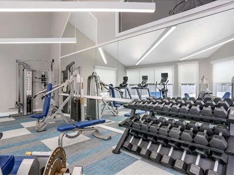 a gym with weights and cardio equipment in a building
